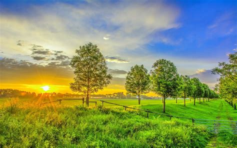 🔥 Sunset Sunrise Field Background HD Images Download | CBEditz