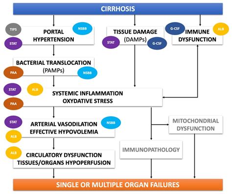 Alcoholic Liver Cirrhosis Treatment