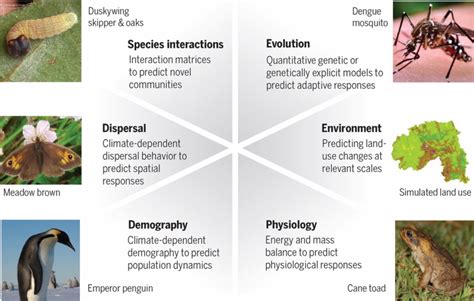 Forecasting climate change's effects on biodiversity hindered by lack ...