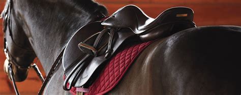 Saddle Sizes & Fitting a Saddle for a Rider | Dover Saddlery