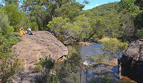 Best campgrounds near Sydney | NSW National Parks