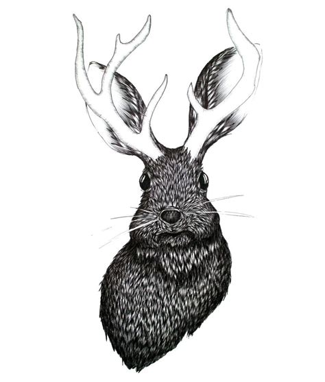 Jackalope Wall Art | Prints, Framed Prints And Multi Panel Art