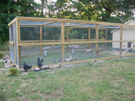 Large Chicken Run Ideas