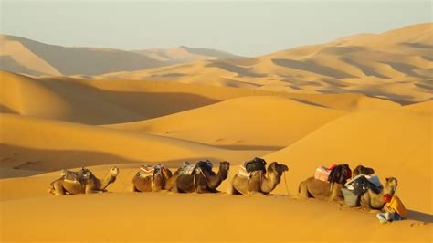 Travel in Morocco - A Nomad among the nomads in the Sahara desert