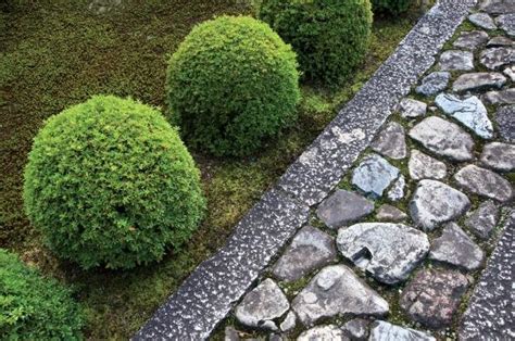 Moss in Japan's Gardens | Garden Design