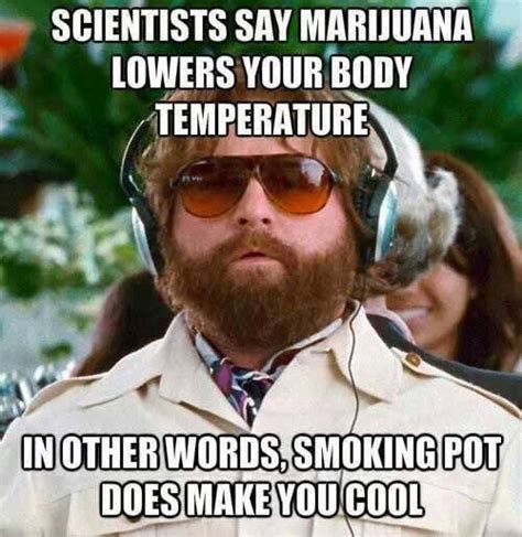 Funny Weed Memes