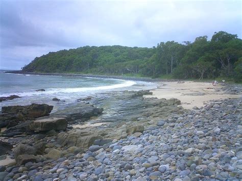 Noosa National Park - Alchetron, The Free Social Encyclopedia