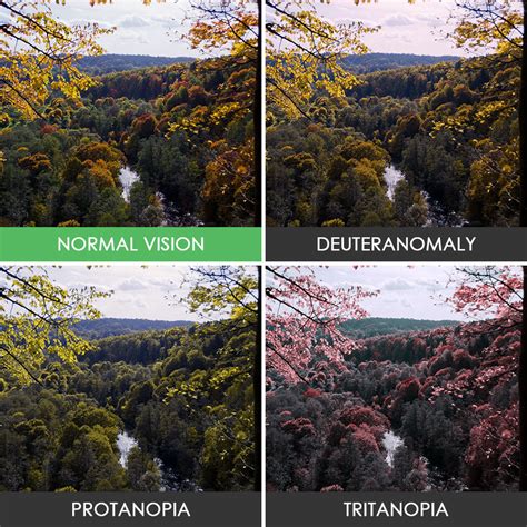 deutan color blindness examples - Tidy Personal Website Picture Library