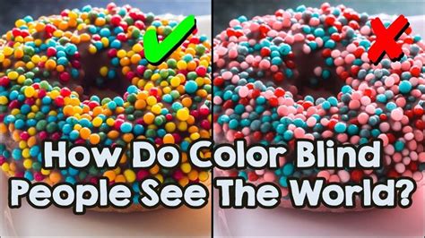 How Do Color Blind People See The World? | Color blind, Color, Blinds