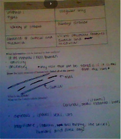 Evidence Board - Principles of Biomedical Science