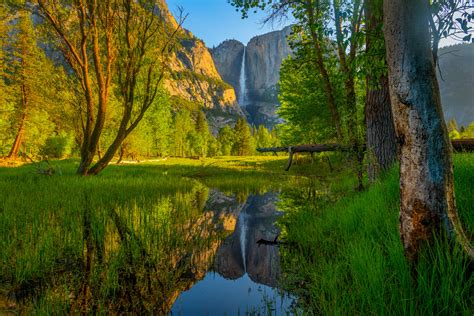 Reflection of Yosemite Falls In Merced River Fine Art Print | Photos by ...