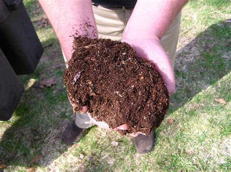 Fix your Compost Heap Problems — SA Smallholder