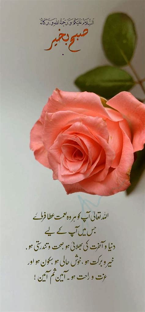 Islamic Subha Bakhair, Good morning with beautiful Dua qoute | Good morning flowers quotes, Good ...