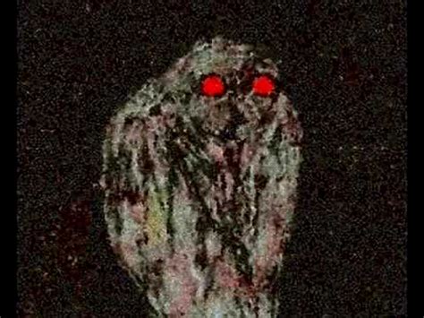 The Paranormalistics: The Owlman