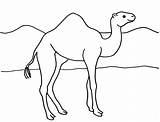 Desert Coloring Pages  70 Pictures Free Printable sketch template