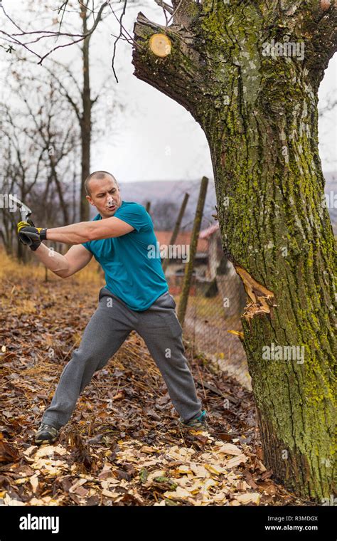 Man Cutting Trees With Axe