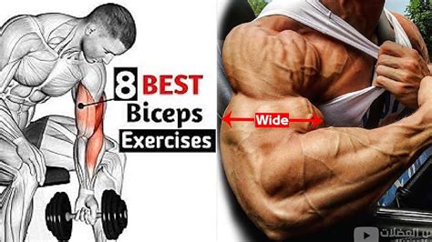 Best Dumbbell Bicep Exercises At Home | EOUA Blog