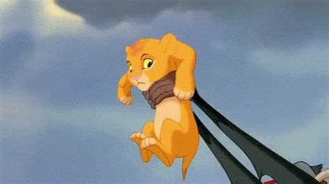 Awrexs Simba GIFs - Get the best GIF on GIPHY