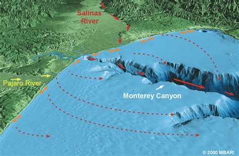 Monterey Bay - California: Submarine Canyon