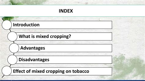 SOLUTION: Mixed cropping in tobacco - Studypool