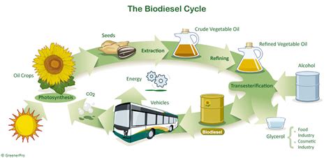 Biofuels Advantages and Disadvantages in 2023 | Linquip