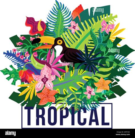 Isla tropical flora y fauna colorido cartel de composición con exótico ...