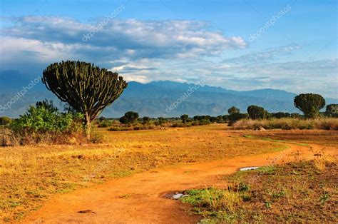 African savanna — Stock Photo © muha04 #1715533