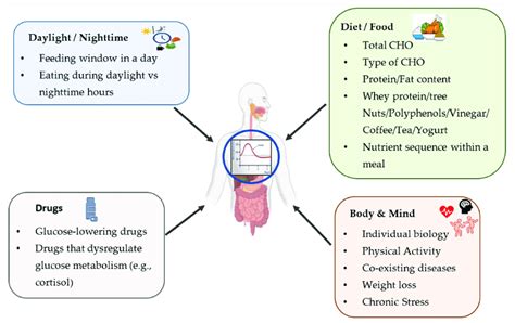 Biological and environmental factors affecting postprandial... | Download Scientific Diagram