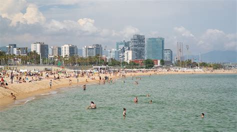 Visit Bogatell Beach in Barcelona | Expedia