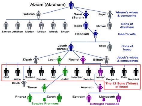 The Family Tree Of Abraham