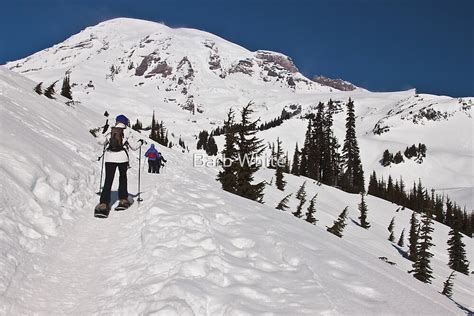 "Snowshoeing at Paradise, Mt. Rainier National Park" by Barb White ...