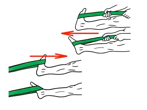 PreHab Exercises - Plantar Flexion and Dorsi Flexion with Resistance Band for Foot and Ankle ...