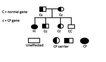 Cystic Fibrosis - Home