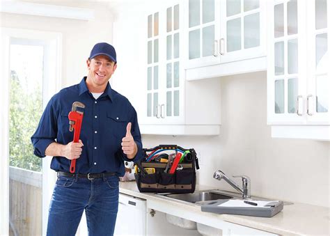 Why You Need To Get A Professional Plumber | My Decorative