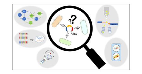 Determining Hosts of Antibiotic Resistance Genes: A Review of Methodological Advances ...