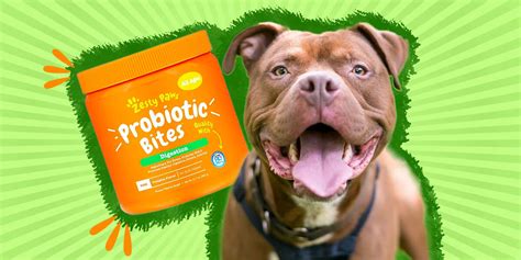 Probiotics For Dogs: What They Are, Benefits And Side Effects ...