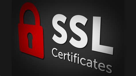 SSL Certificate Lifecycle Management Tools: Easy To Setup - Techsable