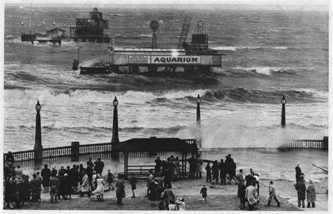 The Old Glenelg Jetty Aquarium – Marine Life Society of South Australia ...