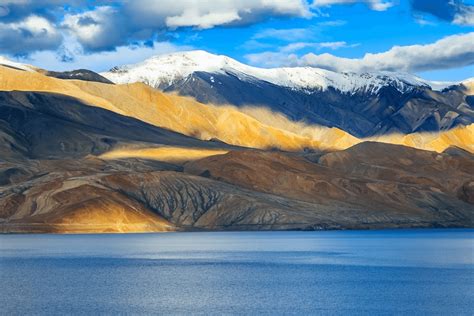 Birding In Leh Ladakh | Ladakh Wildlife Sanctuary