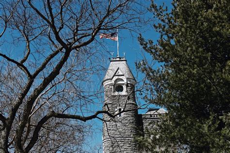 The Essential Central Park Guided Walking Tour | New York City Tours