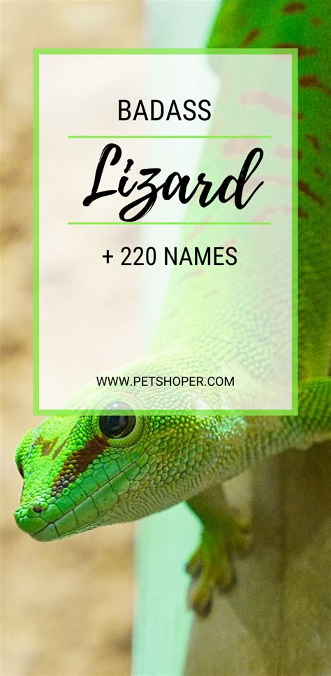 Are you looking for great badass lizard names? The lizard names in this category sound fierce ...