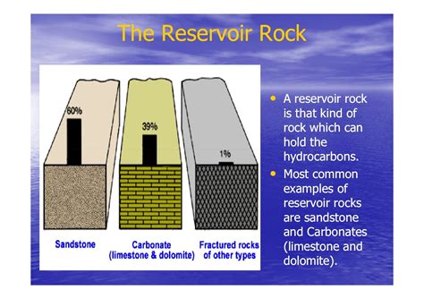 Basics of petroleum geology