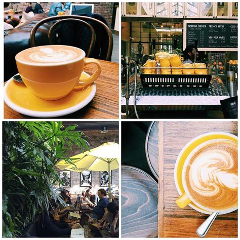 Devoción Coffee Brooklyn | Coffee shop, Coffee, Brooklyn
