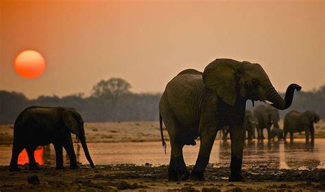 Hwange National Park | Things to Do in Hwange | byolife.co.zw