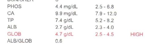 What Causes High Globulin Levels in Dogs? - Dog Discoveries