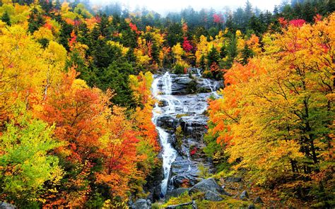 Autumn Mountain Stream Wallpapers - Top Free Autumn Mountain Stream ...