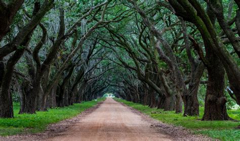 Evergreen Plantation - Louisiana's River Parishes