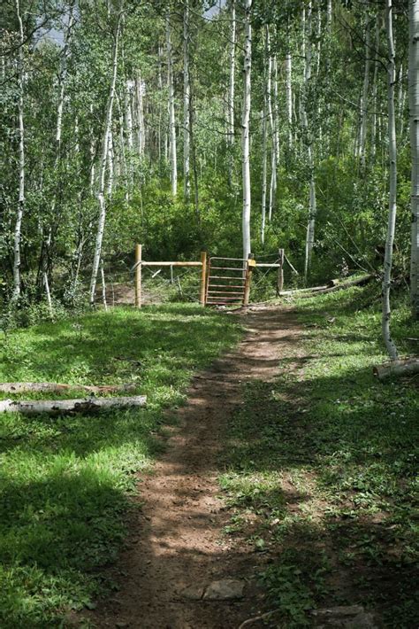 Rim Trail, Colorado : Off-Road Trail Map & Photos | onX Offroad