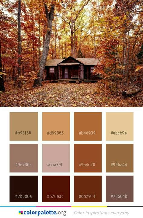 68 & 9e | Rustic color palettes, Fall color palette, Brown color palette