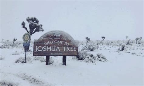 Los Angeles residents discover snow